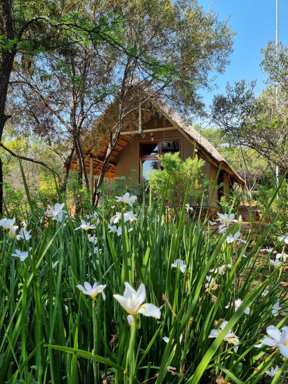 Tidimalo Lodge Rustenburg Eksteriør billede